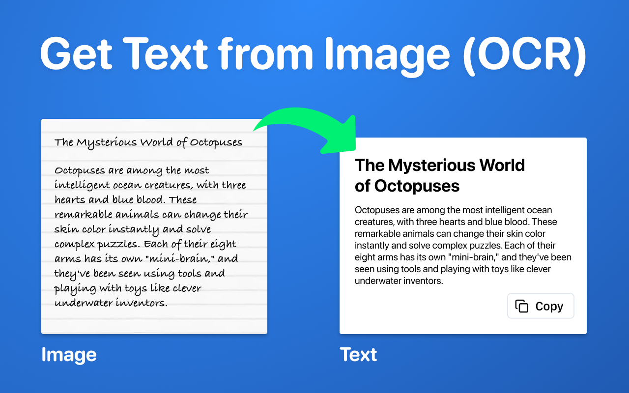 Image to Text Converter